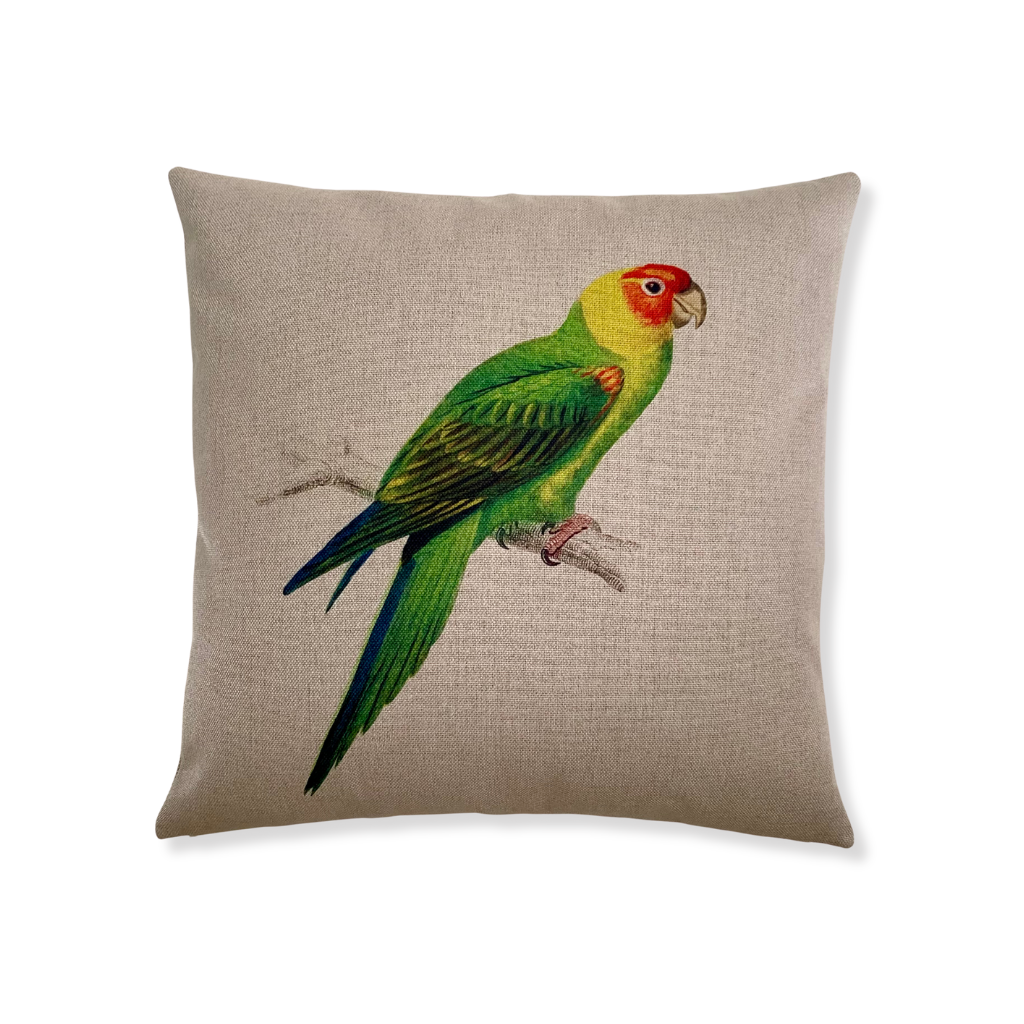 Parakeet Pillow Cover